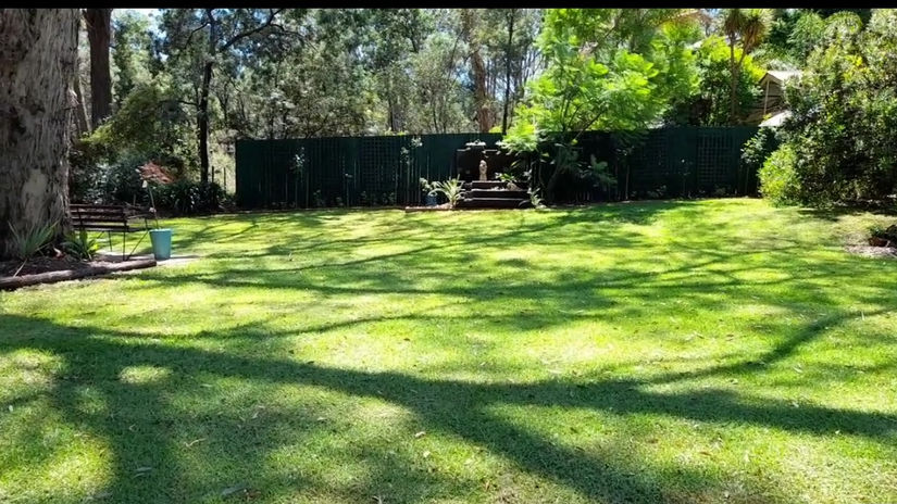 A Walk to The Apology Memorial 2023